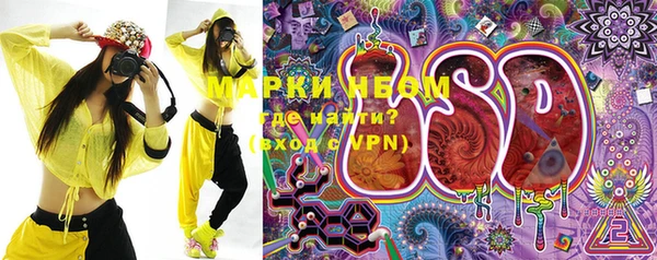 шишки Аркадак