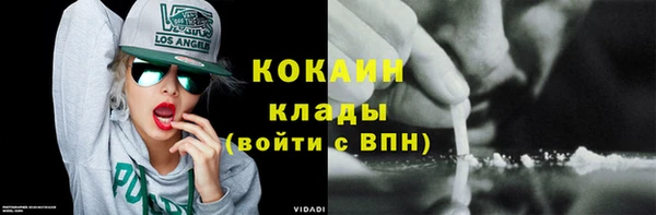 шишки Аркадак