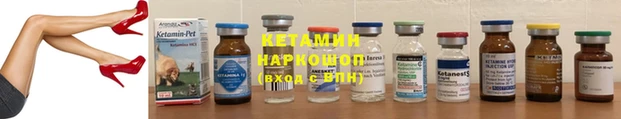 шишки Аркадак