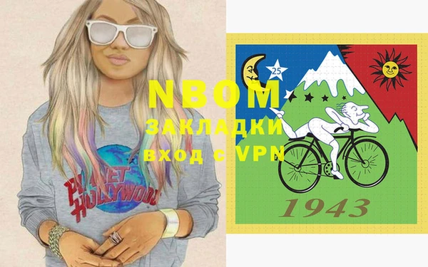 шишки Аркадак