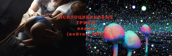 шишки Армянск