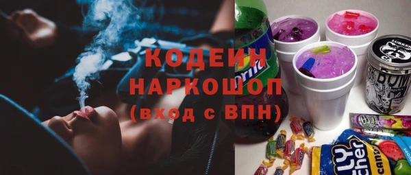 шишки Аркадак
